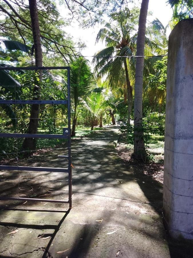 Rancho Tranquillo Hostel Мойогалпа Екстериор снимка