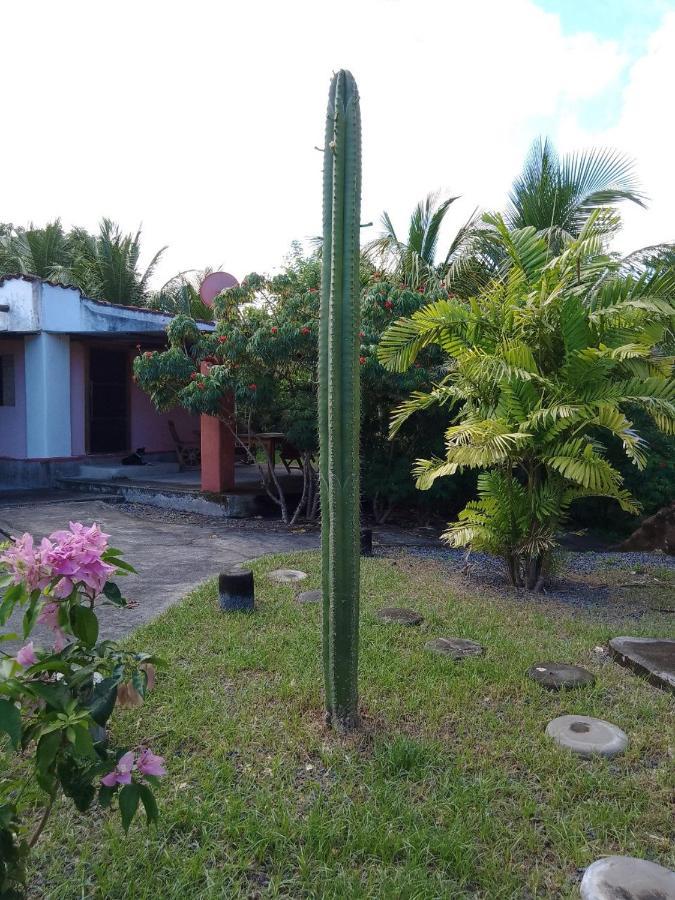 Rancho Tranquillo Hostel Мойогалпа Екстериор снимка