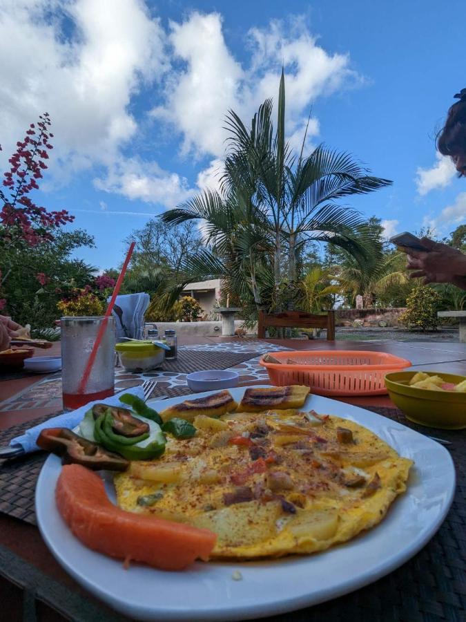 Rancho Tranquillo Hostel Мойогалпа Екстериор снимка