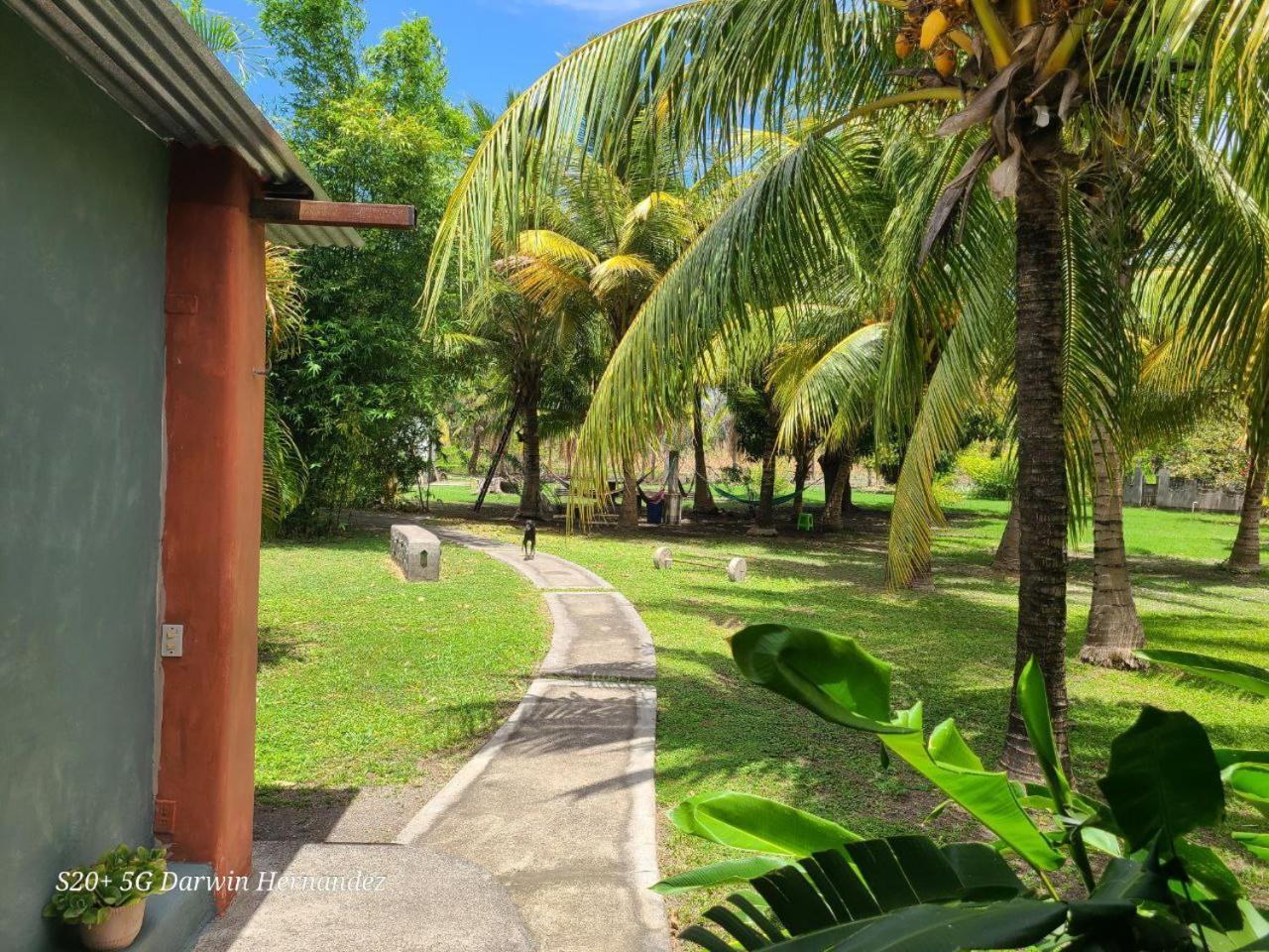 Rancho Tranquillo Hostel Мойогалпа Екстериор снимка