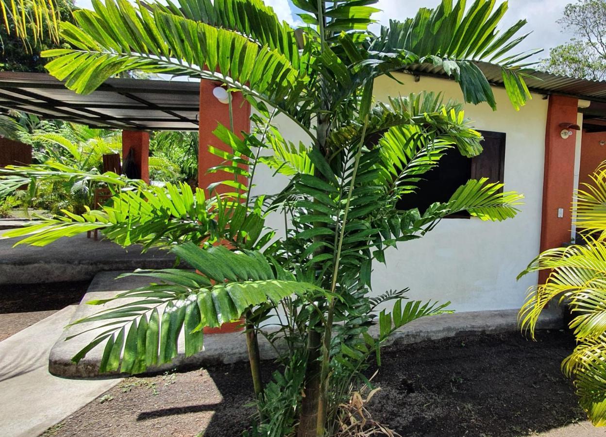 Rancho Tranquillo Hostel Мойогалпа Екстериор снимка